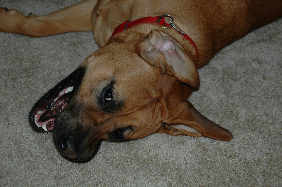 DSC_1644