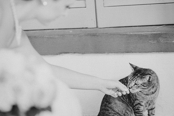 BW_20141012_Wedding_HirschingerCarpenter_221
