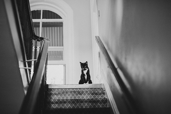BW_20141012_Wedding_HirschingerCarpenter_223
