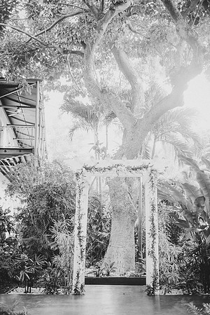 BW_20141012_Wedding_HirschingerCarpenter_232