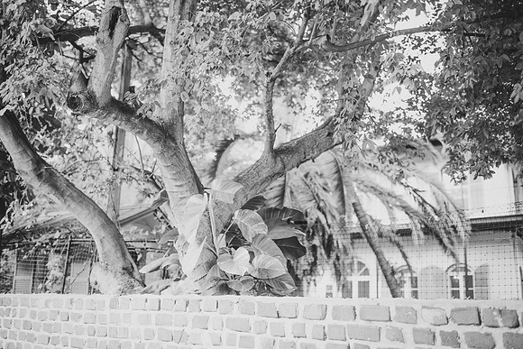 BW_20141012_Wedding_HirschingerCarpenter_226