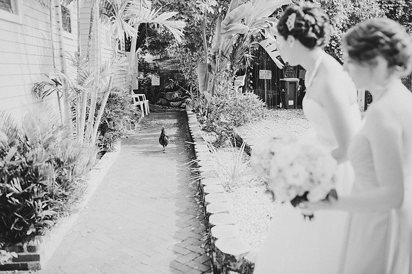 BW_20141012_Wedding_HirschingerCarpenter_123