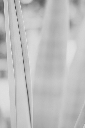 BW_20150321_Wedding_KirongZwick_0005