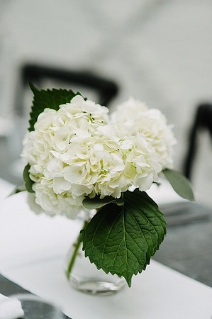 20150418_Wedding_WadeEbaugh_Rehearsal_0010