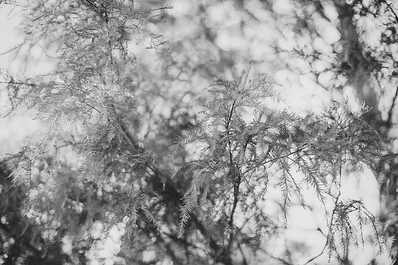 BW_20140119_Wedding_GosikWolfe_0089