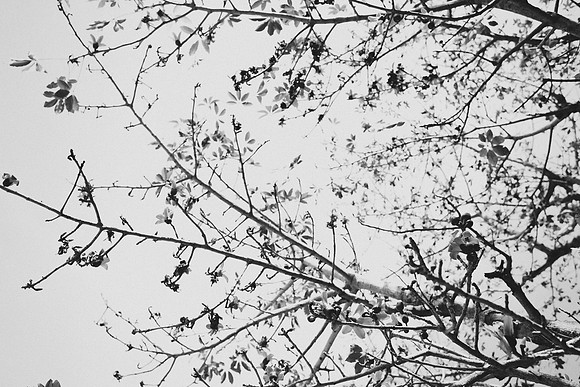 BW_20150321_Wedding_KirongZwick_0001